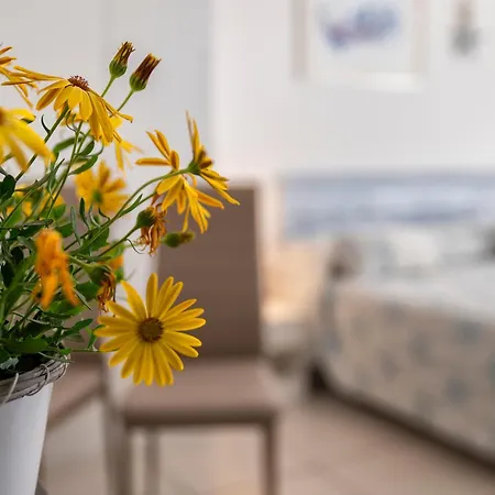 Bed & Breakfast Horizon