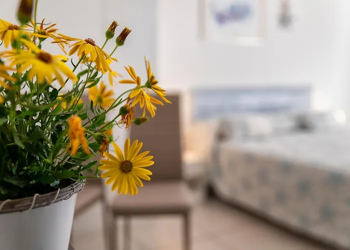 Bed & Breakfast Horizon